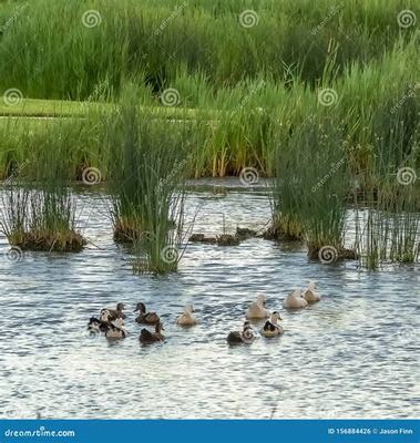如何代理热血传奇手游 互联网游戏服务工作室的完整指南